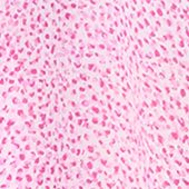 Petite V-Neck Button Down Maxi Dress