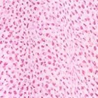 Petite V-Neck Button Down Maxi Dress