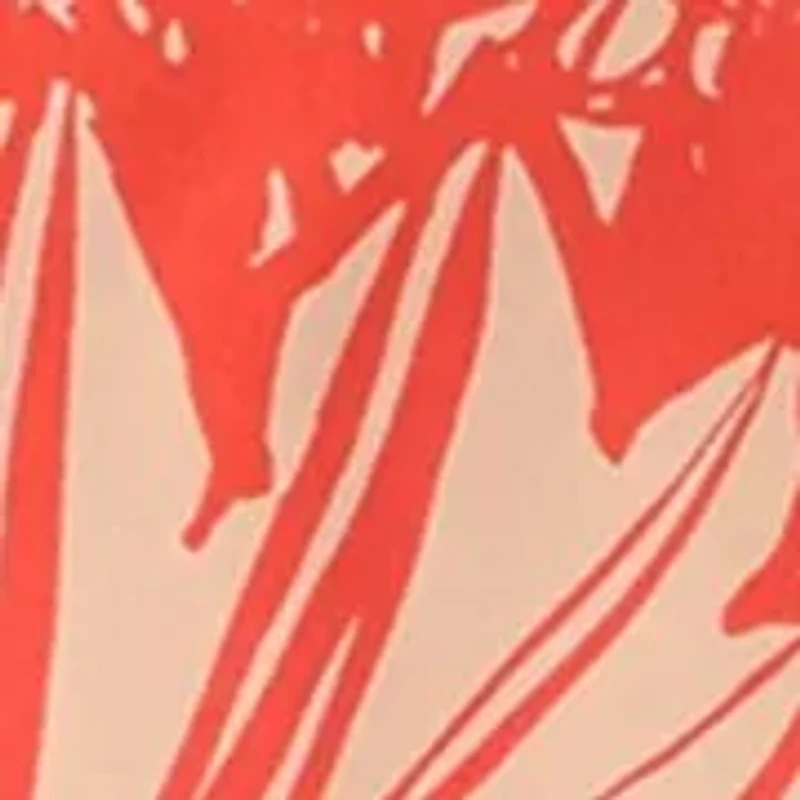 Petite Printed Layered Sleeve Blouse