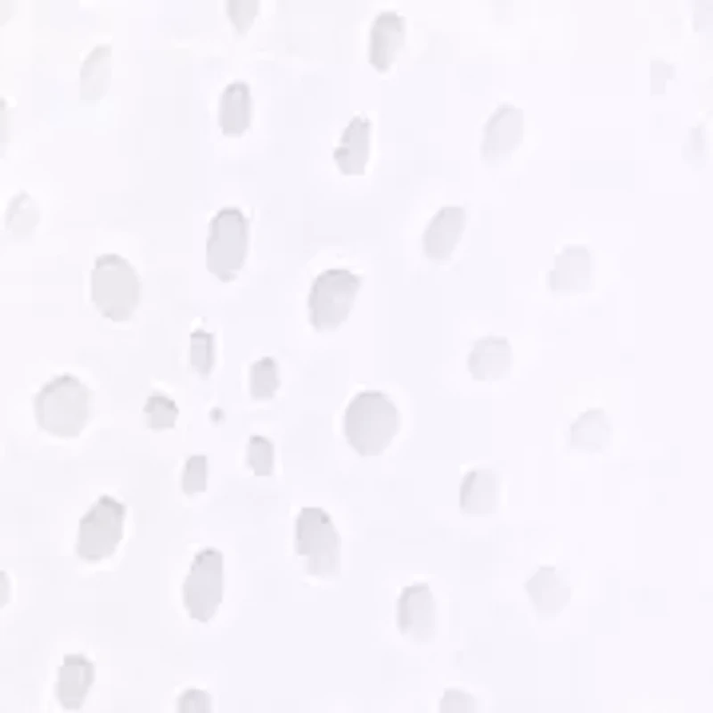 Petite Eyelet Mini Dress