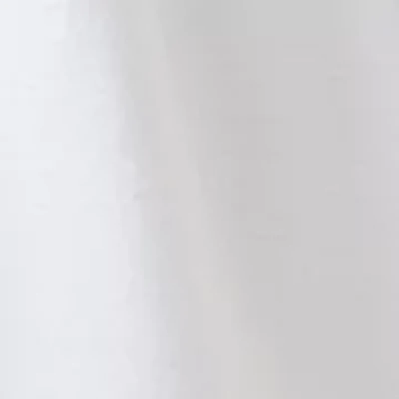 Petite Ruffle Sleeve Geo Lace Rumple Base Cloth Dress