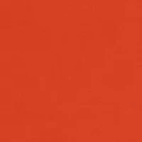 Petite Knit Tank Top