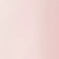 Petite Sleeveless Ruffle V-Neck Blouse