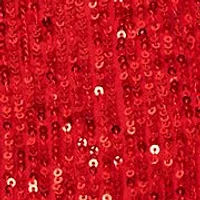 Petite Raglan Sleeve Keyhole Sequin Blouse