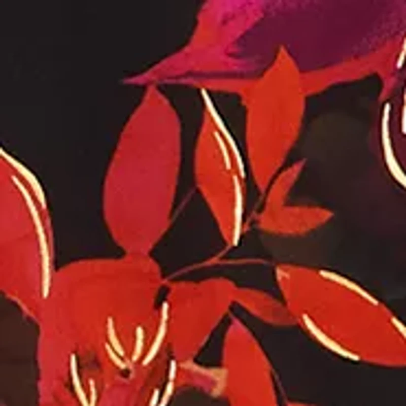 Petite Cha Sleeve Floral Off the Shoulder Top