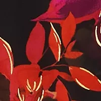 Petite Cha Sleeve Floral Off the Shoulder Top