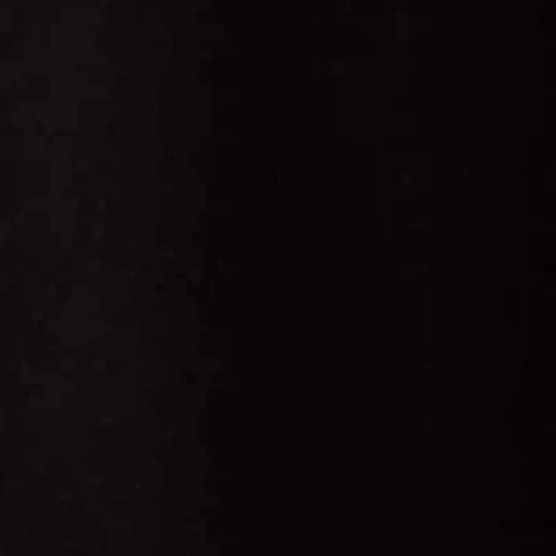 Petite Wide Leg Elastic Pants