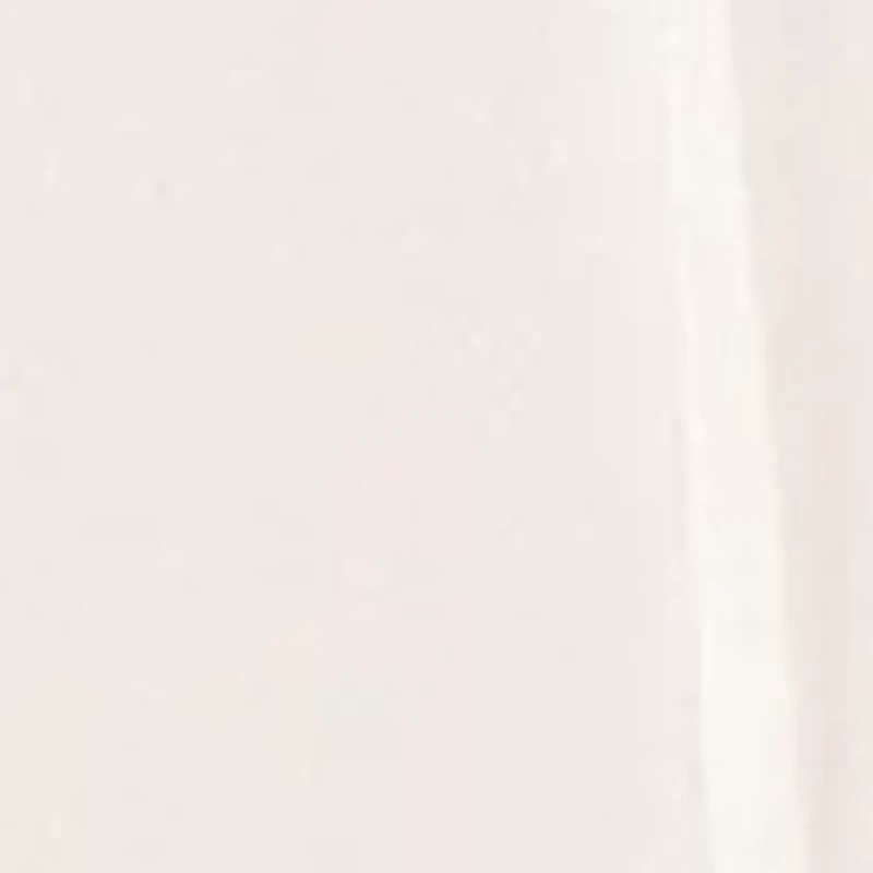 Petite Long Sleeve Blouse with Ruffle Front and Tie