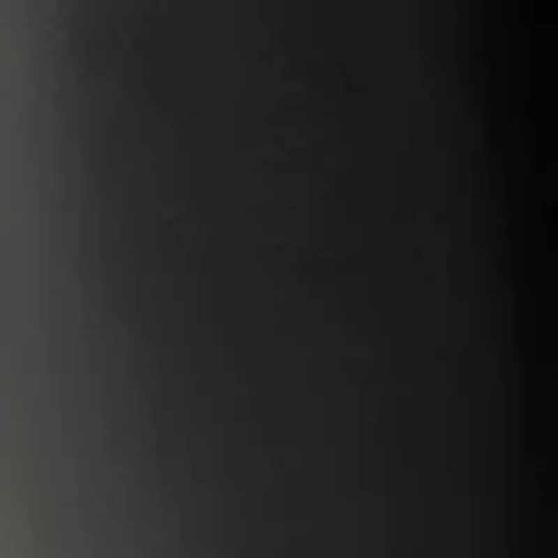 Petite Faux Leather Pull On Pants