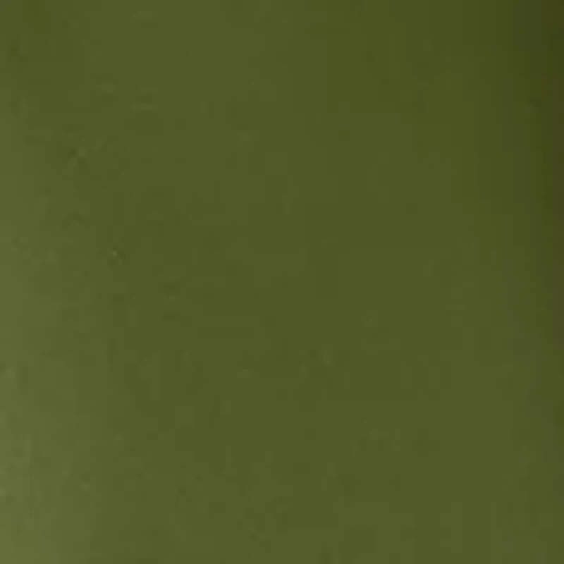 Women's Surplus Long Sleeve Puff Shoulder Blouse