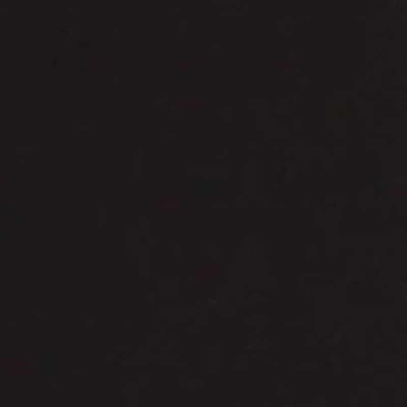 Petite Short Sleeve Top