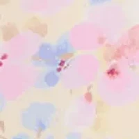 Waverly Frill Print Top
