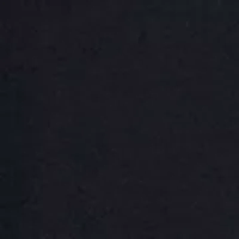 Women's Belted Pleated Pants