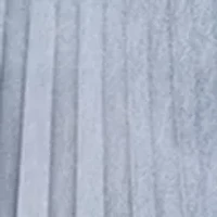 Women's Pleated Lace Trim Skirt