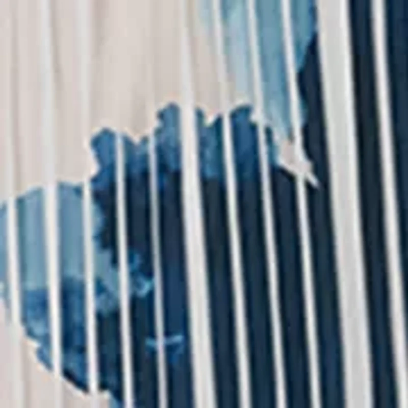 Women's Sleeveless Floral Pleated Belted Dress