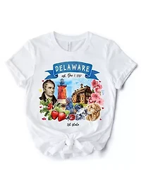 Delaware State Themes and Landmarks Tee for History Travel Lovers