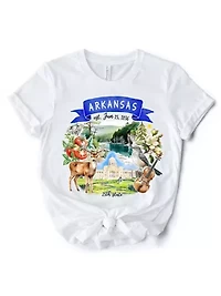 Arkansas State Themes and Landmarks Tee for History Travel Lovers