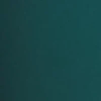 Women's Motion Bike Shorts