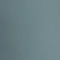 Women's Rival Hi Rise Woven Pants