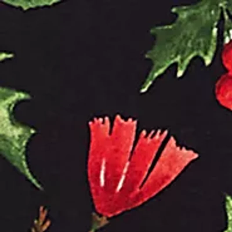 Plus Classic Poinsettia Printed Top