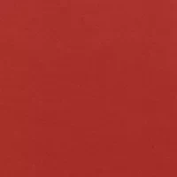 Plus Classics Nuzzling Owls Top