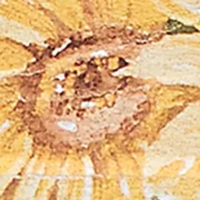 Women's Sunflower Print Sublimated Shirt