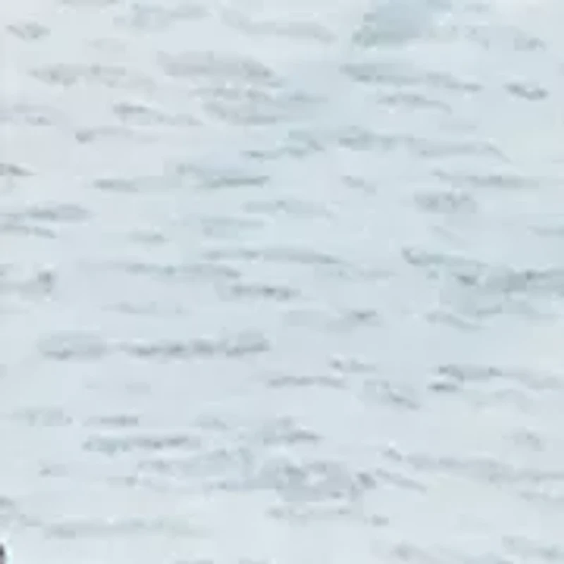 Women's Mosaic Turtle Sublimated T-Shirt