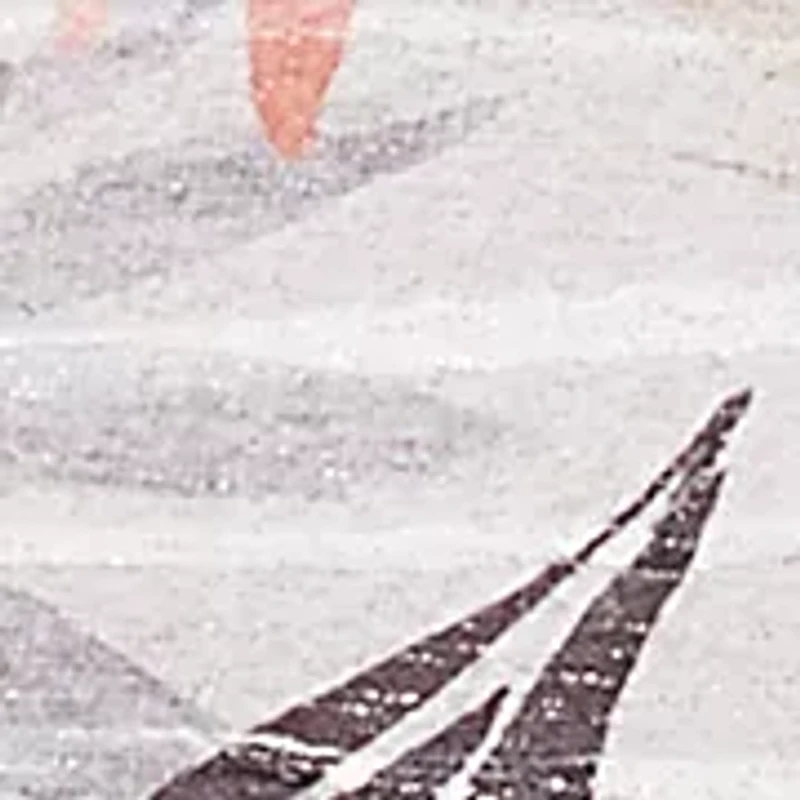 Plus Key Palm Leaves Printed Top