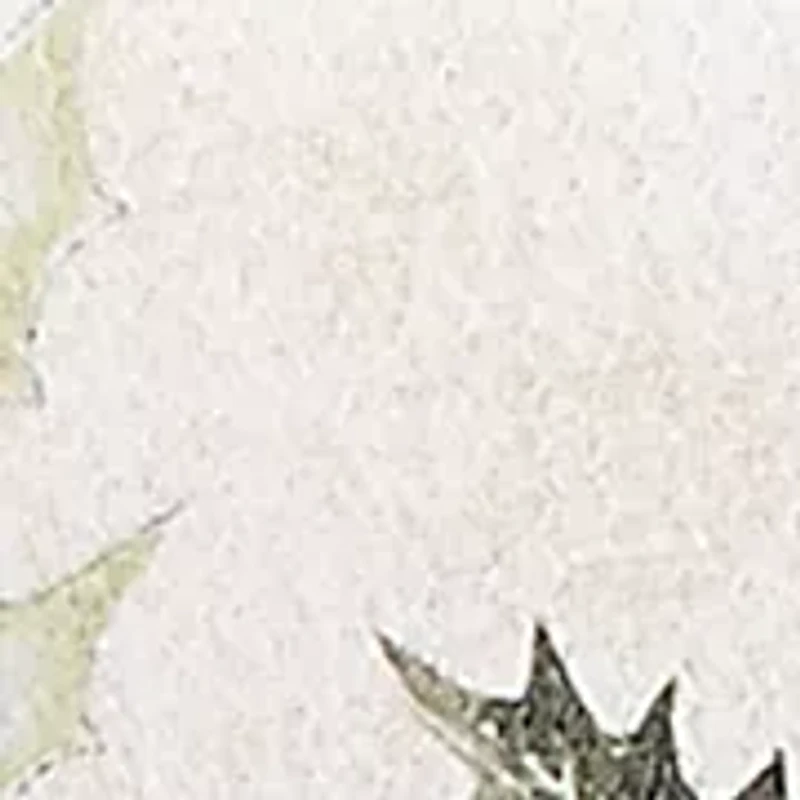 Plus Classics Raccoons T-Shirt