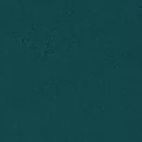 Petite Classics Proportioned Short Pants