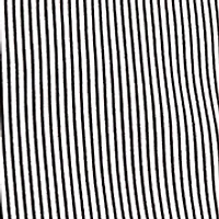 Women's Classics Stripe Clamdigger Pants