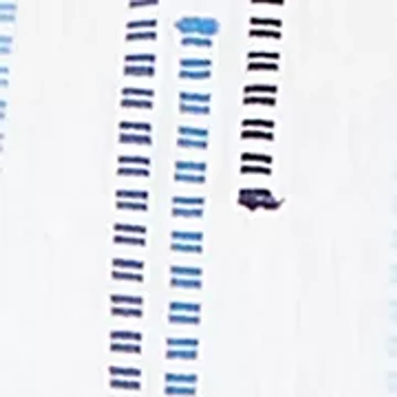 Plus Classics Spliced Stripe Clip Jacquard Top