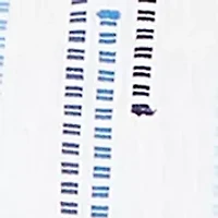 Plus Classics Spliced Stripe Clip Jacquard Top