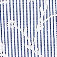 Plus Pinstripe Button Down Shirt with Puff Embroidery