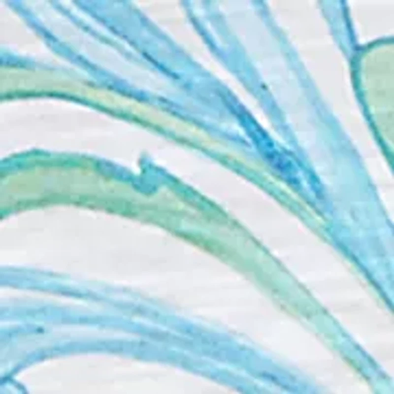 Plus Classics Scroll Border Top