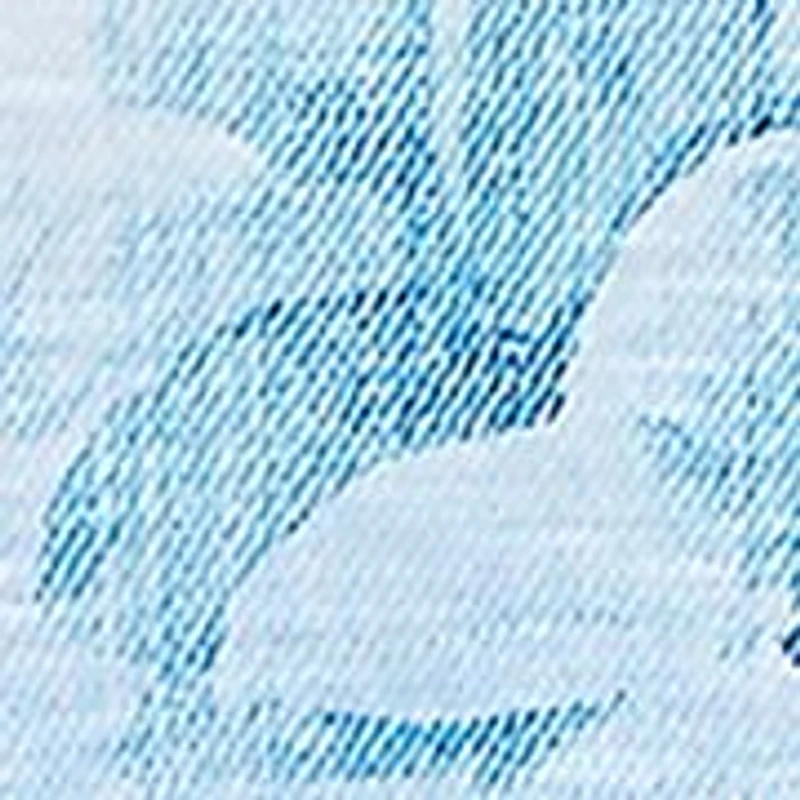 Plus Classics Ombre Border Floral Top