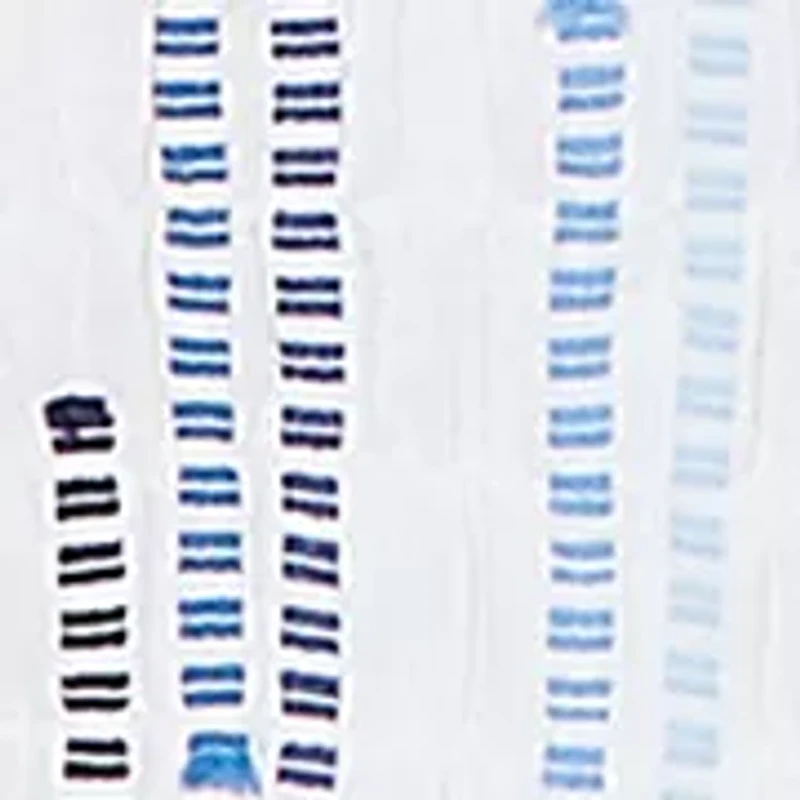 Petite Classics 3/4 Sleeve Spliced Stripe Clip Jacquard Top