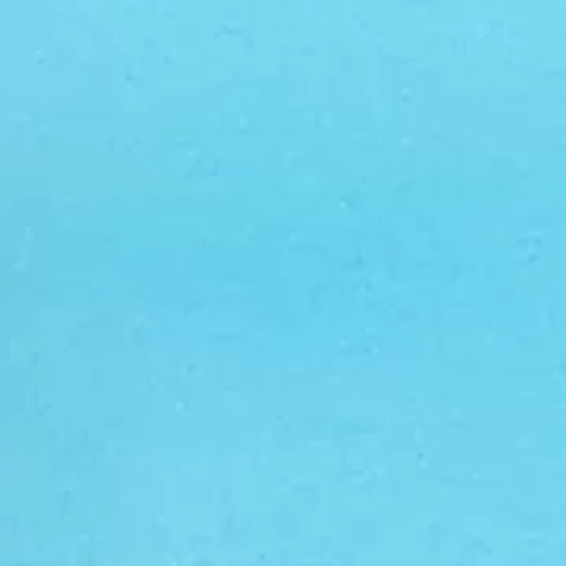 Petite Solid Top with Eyelets