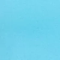 Petite Solid Top with Eyelets