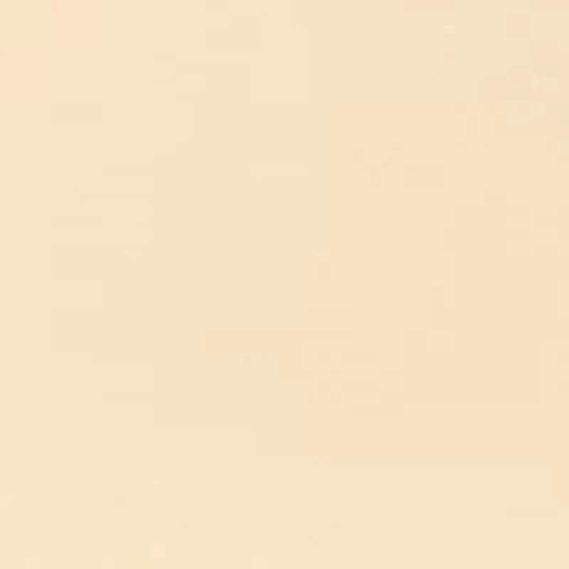 Petite Solid Top with Eyelets