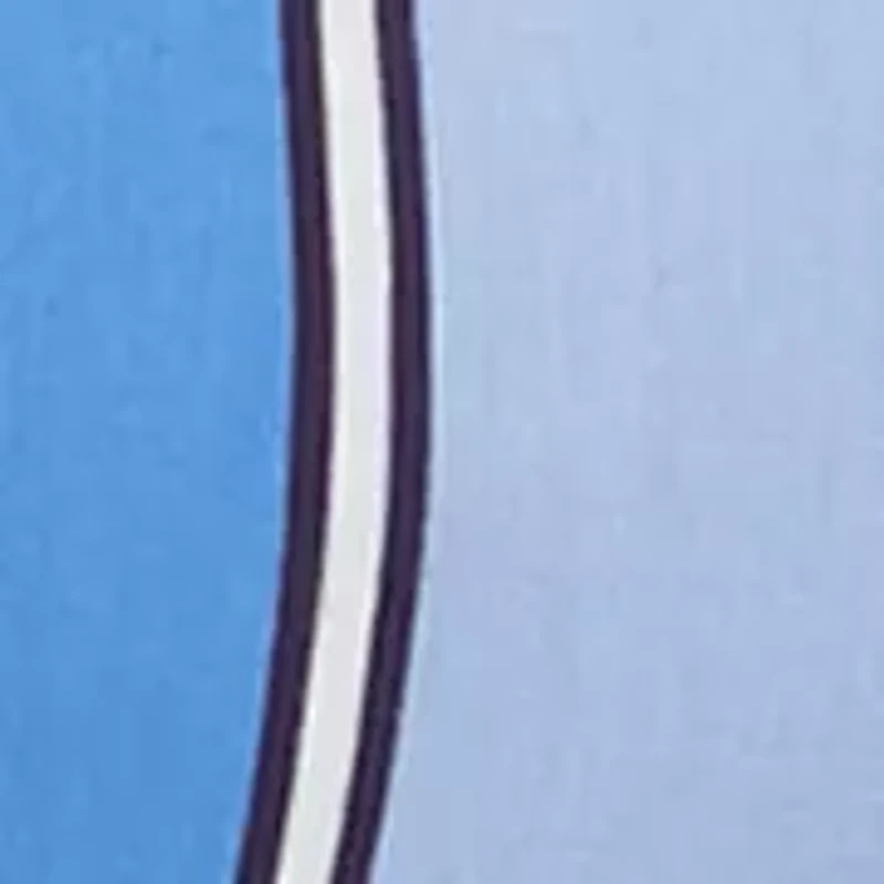 Petite Spliced Stripe Top with Necklace