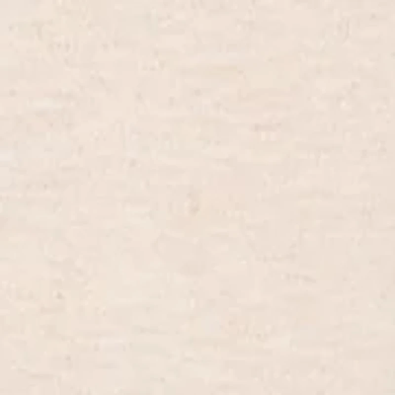 Plus El Paso Asymmetric Flower Embroidery Top