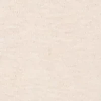 Plus El Paso Asymmetric Flower Embroidery Top