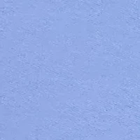 Women's Casual Vibe Proportioned Short Pants