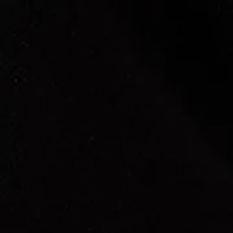 Women's Jet Setter Bold Floral Jacquard Sweater