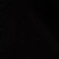 Women's  Jet Setter Bold Floral Jacquard Sweater