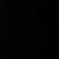 Petite Jet Setter Bold Floral Jacquard