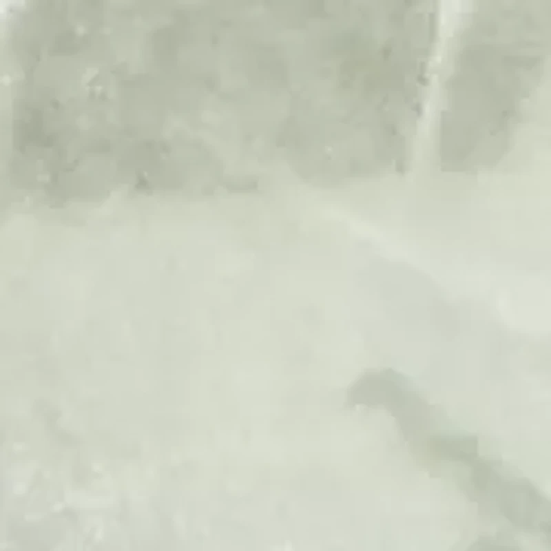 Women's Stockbridge Leaf Patch Cozy Jacket