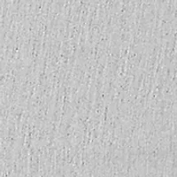 Petite Stockbridge Proportioned Short Pants