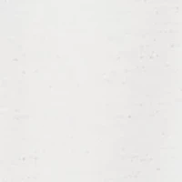 Petite Stockbridge Snowflakes Shimmer Top